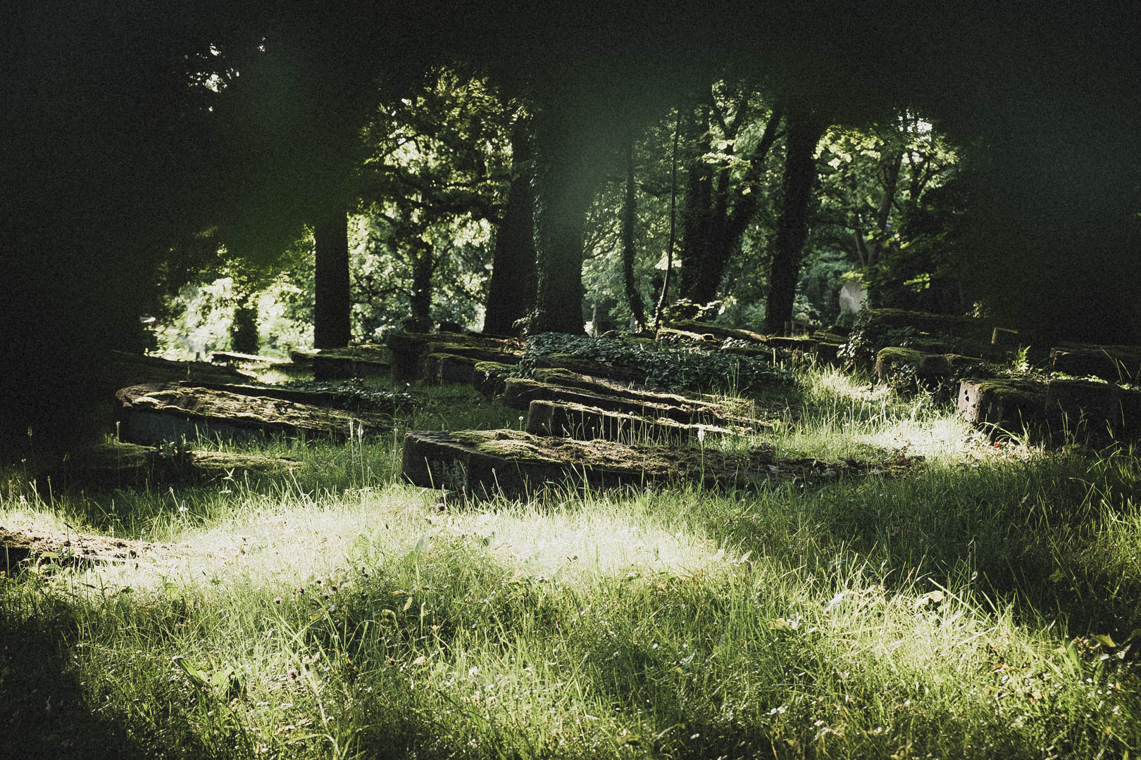 Jüdischer Friedhof Kassel-Bettenhausen